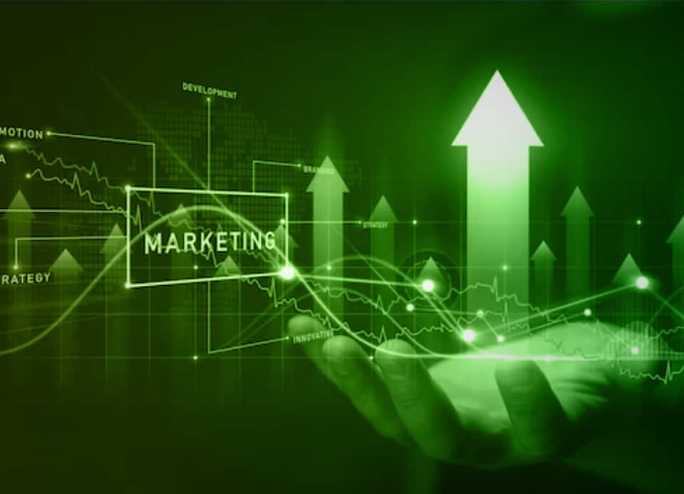 Marketing management services help you grow your business and profitability